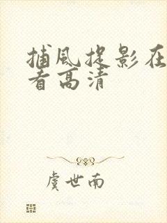 捕风捉影在线观看高清