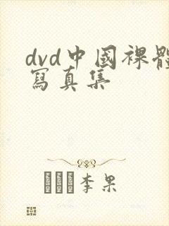 dvd中国裸体写真集