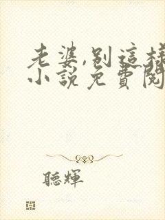 老婆,别这样 小说免费阅读