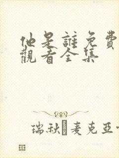 他是谁免费高清观看全集