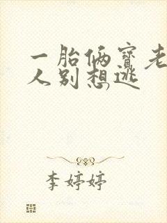 一胎俩宝老婆大人别想逃