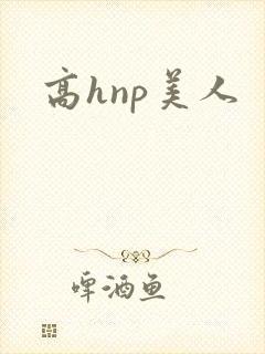 高hnp美人