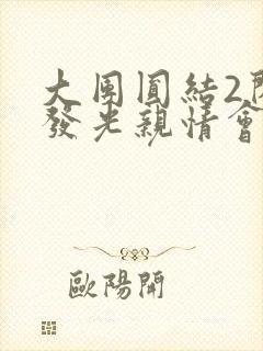 大团圆结2闪闪发光亲情会