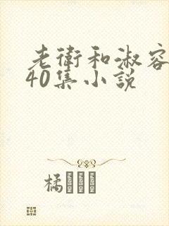 老卫和淑容1-40集小说