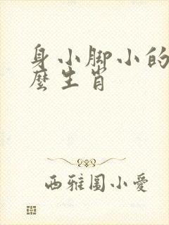 身小脚小的是什么生肖