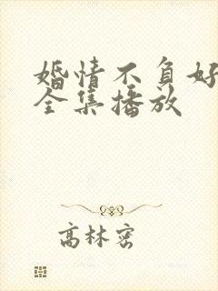 婚情不负好短剧全集播放