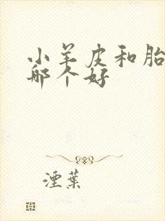 小羊皮和胎牛皮哪个好