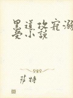 黑道攻宠溺美人受小说