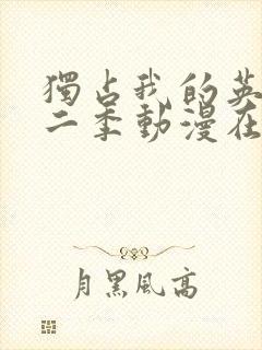 独占我的英雄第二季动漫在线观看封面