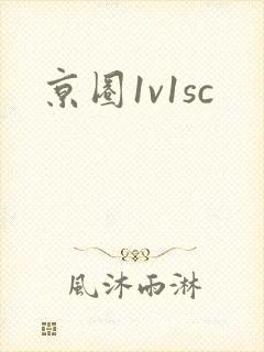 京圈1v1sc