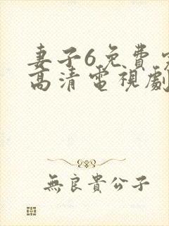 妻子6免费完整高清电视剧