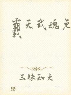 霸天武魂免费下载