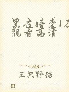 黑夜暗袭1在线观看高清