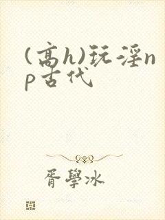 (高h)玩淫np古代