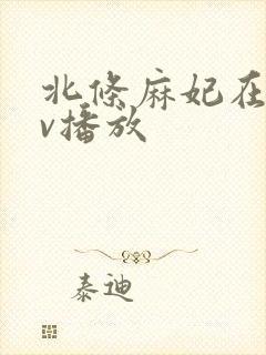 北条麻妃在线av播放