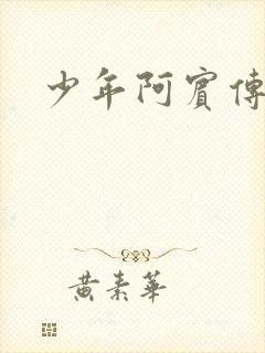 少年阿宾传封面