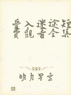 爱入迷途短剧免费观看全集完整版