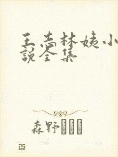 王志林姨小志小说全集