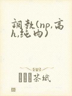 调教(np,高h,纯肉)