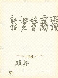 许池婉霍琛霆小说免费阅读全文最新