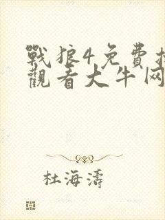 战狼4免费播放观看大牛网