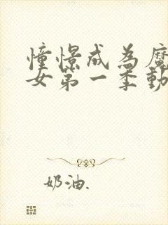 憧憬成为魔法少女第一季动画