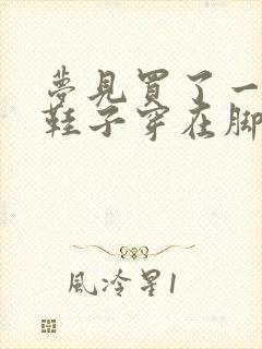 梦见买了一双新鞋子穿在脚上很舒服