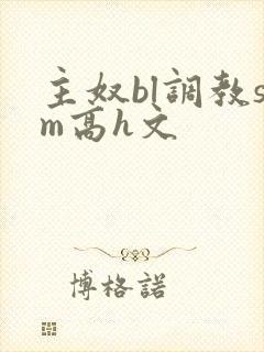 主奴bl调教sm高h文封面