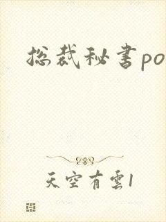 总裁秘书po文封面