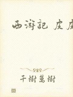 西游记 皮皮