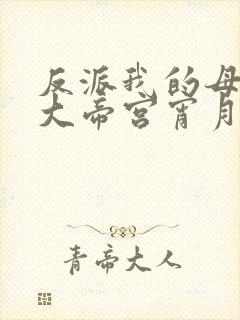 反派我的母亲是大帝宫宵月无绿