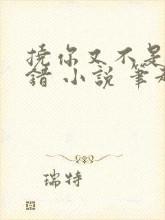 挠你又不是我的错 小说 笔趣阁