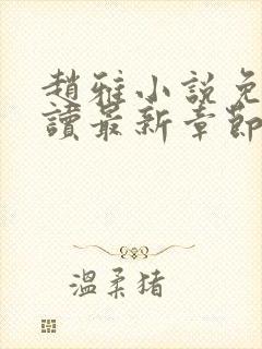 赵雅小说免费阅读最新章节