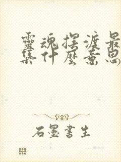 灵魂摆渡最后一集什么意思