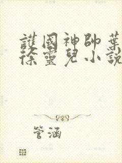 护国神帅叶无道徐灵儿小说免费阅读