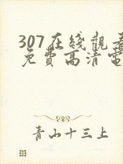 307在线观看免费高清电视剧封面