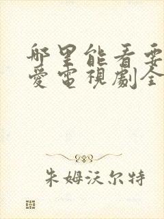 哪里能看要久久爱电视剧全集