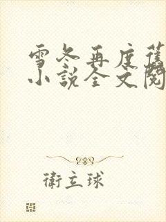 雪冬再度旧人关小说全文阅读