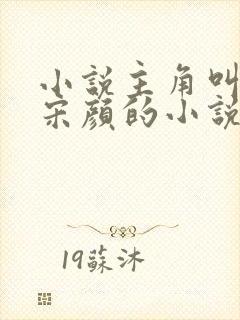 小说主角叫楚尘宋颜的小说