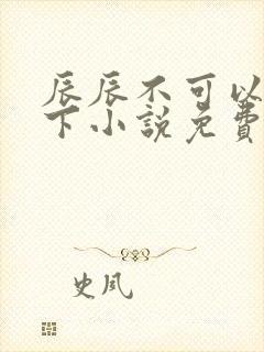 辰辰不可以快停下小说免费阅读笔趣封面