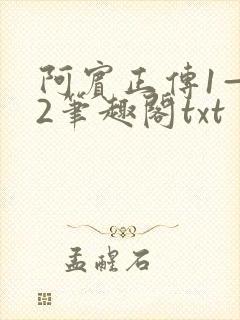 阿宾正传1—72笔趣阁txt