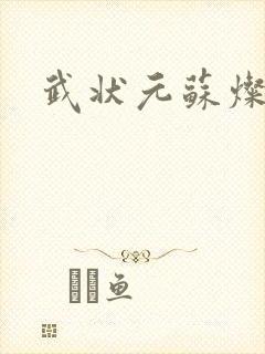 武状元苏灿封面