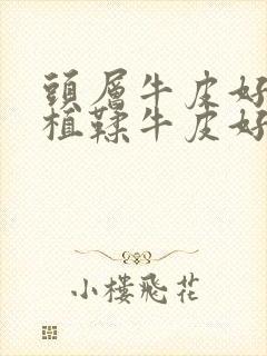 头层牛皮好还是植鞣牛皮好