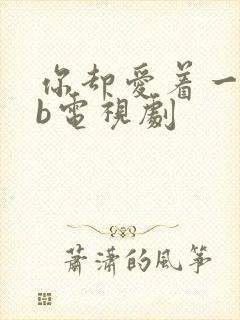 你却爱着一个sb电视剧