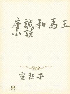 唐诚和马玉婷的小说