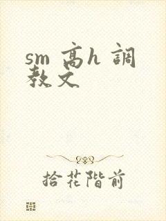 sm 高h 调教文
