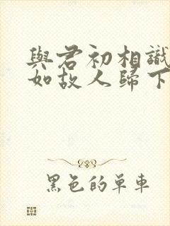 与君初相识,犹如故人归下一句