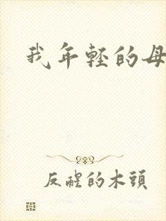 我年轻的母亲4封面