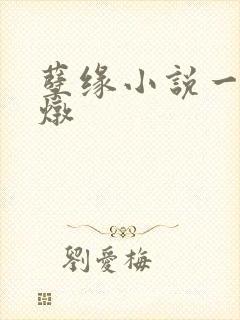 孽缘小说一家乱炖封面