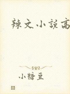 辣文小说高h